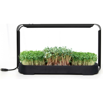 Bentech GreenBoost set pro domácí pěstování microgreens