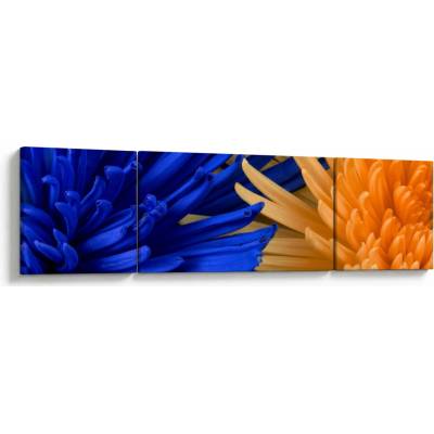 Detailní obraz květů, třídílný 170x50 cm