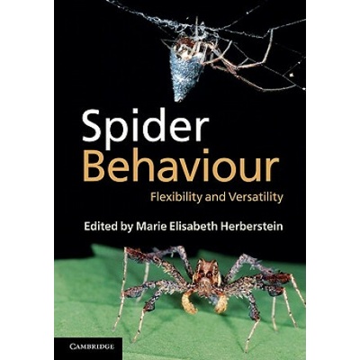 Spider Behaviour