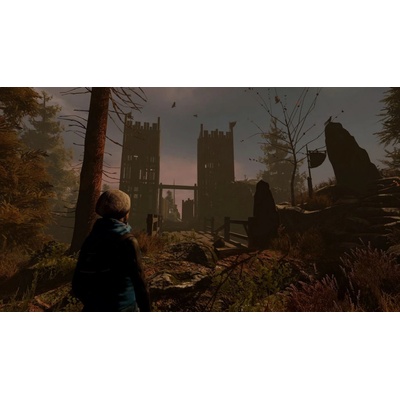 Through the Woods (Collector's Edition)