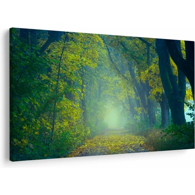 Obraz cesty lemované stromy, jednodílný 120x80 cm
