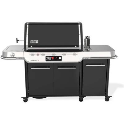 WEBER Summit FS38X