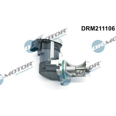 DR.MOTOR AUTOMOTIVE AGR - Ventil DRM211106