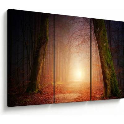 Obraz podzimního lesa v mlze, třídílný 120x80 cm