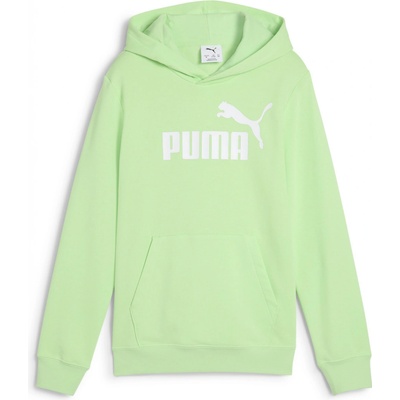 Puma Ess No. 1 Logo Hoodie TR B 68490949 zelená