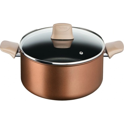 Tefal - Hrniec s pokrievkou RESPECT pr. 24 cm G2544602