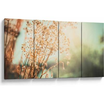 Obraz - Lúčne rastliny, štvordielne 160x80 cm
