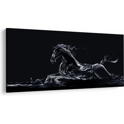 Obraz - Kůň a voda, jednodílný 200x100 cm