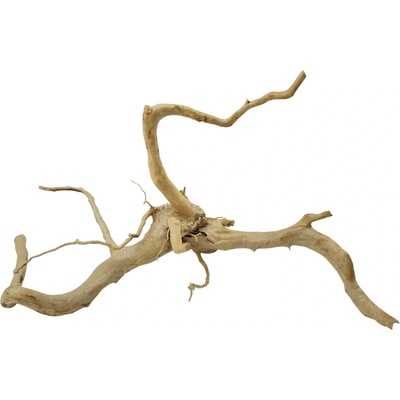 Invital Red moor wood KG 820 g Z04968