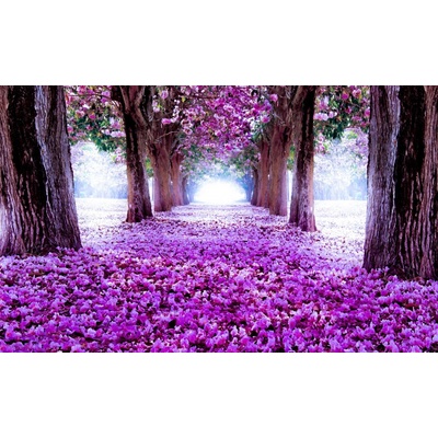 Preinterier FT3137 Fototapeta na stenu Kvitnúca alej vlies 104cm x 70cm