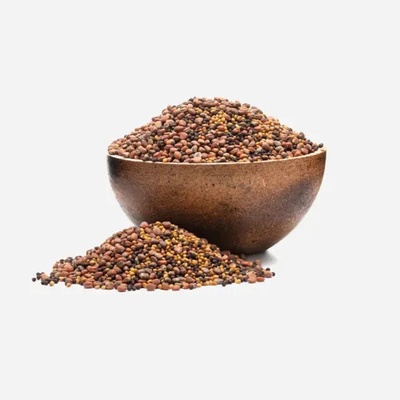 Grizly Brokolica reďkev ďatelina BIO mix semienok na klíčenie 250 g