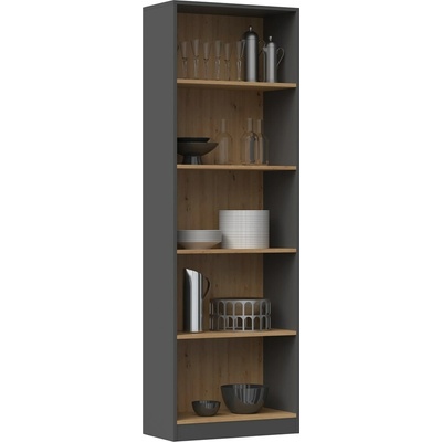 Topeshop R60 kancelářská knihovna ANT/ART