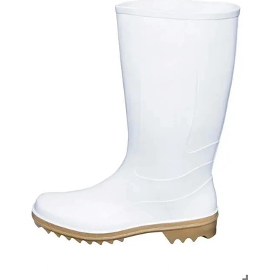 BOOTS COMPANY 0204008080036