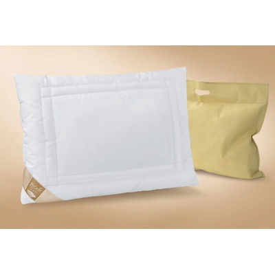 Ložnice21 Zdravotní vyvařovací polštář Mirabell Visco 500 g, Taška taška z PVC na zip 50x70