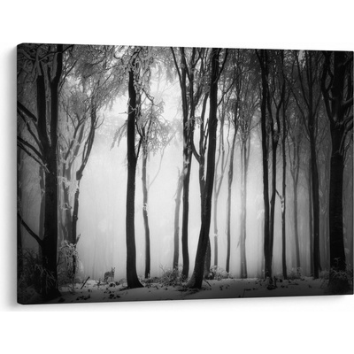 Obraz - Vlk v temném lese, jednodílný 70x50 cm