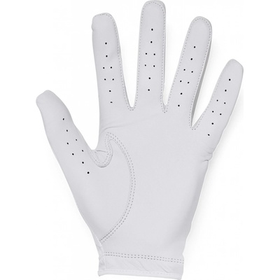 Under Armour Iso-Chill Mens Golf Glove bílá Levá XL – Hledejceny.cz