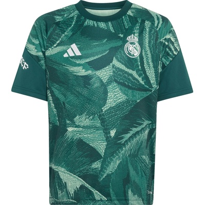 adidas Real Madrid Pre-Match 2026/27 zelená