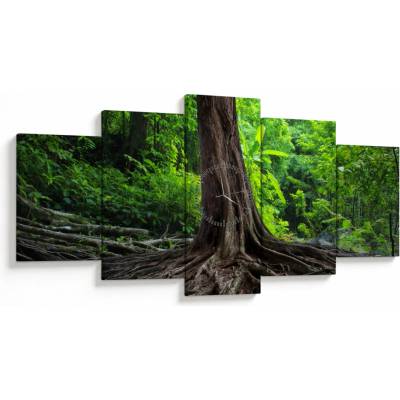 Obraz - Starý strom s koreňmi (s hodinami), päťdielne 150x80 cm s hodinami