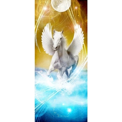 Preinterier DV0240 Fototapeta na stenu Pegas vlies 91cm x 211cm