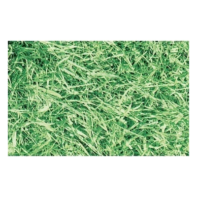 Gekkofix 11567 Samolepiaca fólia Tráva 90cm x 15m