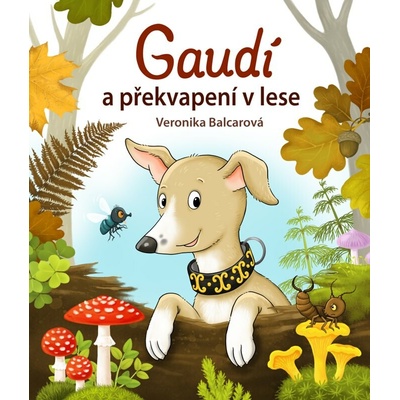 Gaudí a překvapení v lese