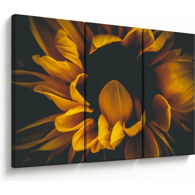 Obraz - Slnečnica v čiernom pozadí, trojdielne 120x80 cm