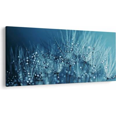 Obraz - Kvapky rosy, jednodielne 200x100 cm