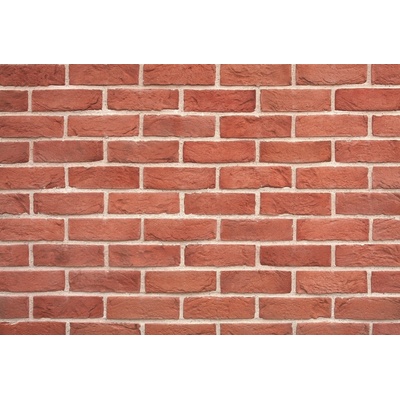 Wild Stone Holland Brick 302 fasádní bastia cihlová 21 x 6 cm 1m² – Hledejceny.cz