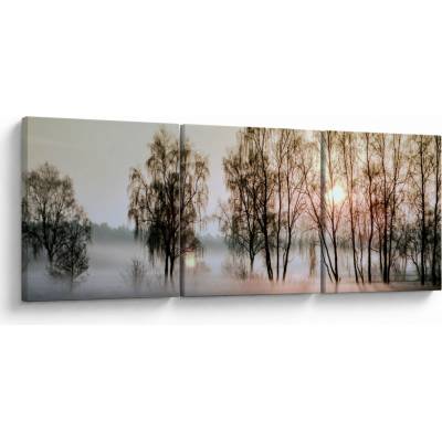 Obraz - Ranná sychravosť, trojdielne 90x30 cm