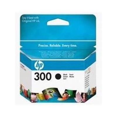HP 300 originální inkoustová kazeta černá CC640EE – Hledejceny.cz