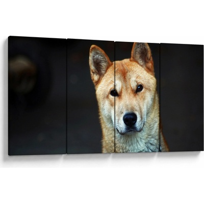 Obraz psa, Čtyřdílný 160x80 cm
