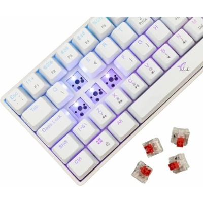 White Shark SHINOBI 2 White Red switch GK-4115 CZ/SK