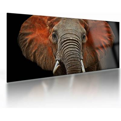 Sklenený obraz - Slony z Tsavo, jednodielne 100x50 cm na skle