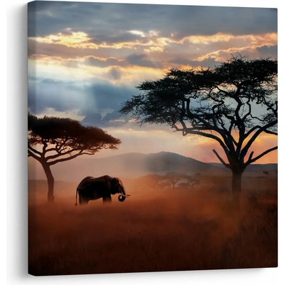 Obraz - Národný park Serengeti, Tanzánia, Afrika, jednodielne 50x50 cm