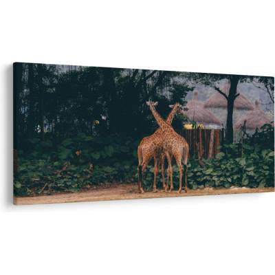 Obraz dvoch žiráf, jednodielne 200x100 cm