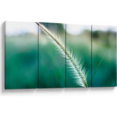 Obraz steblá trávy, štvordielne 160x80 cm