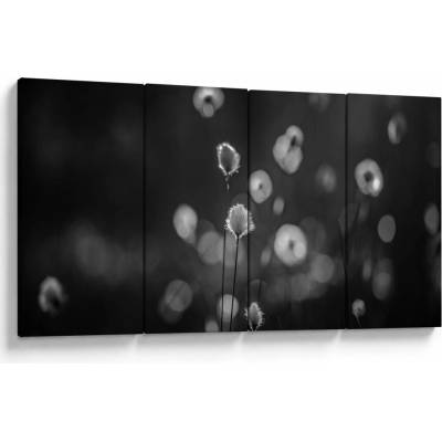 Obraz - Cottongrass na louce, Čtyřdílný 160x80 cm