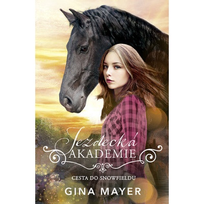 Cesta do Snowfieldu - Gina Mayer – Hledejceny.cz