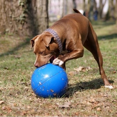 Boomer Ball odolná lopta 25 cm