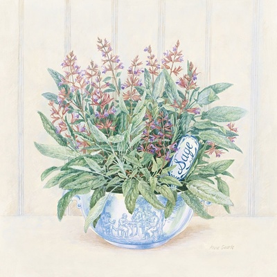 Obraz Šalvěj 1 deska 30x30