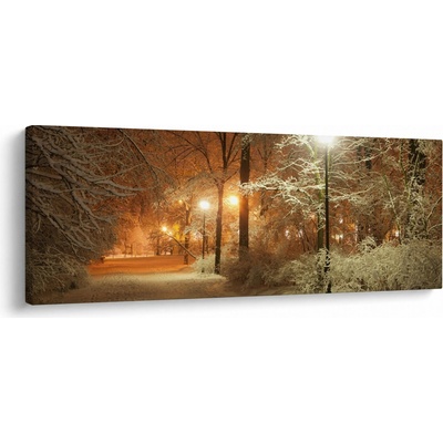 Obraz - Zasněžený park, jednodílný 100x40 cm