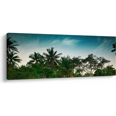 Obraz - palmy, jednodielne 100x40 cm