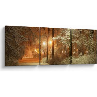 Obraz - Zasněžený park, třídílný 90x30 cm