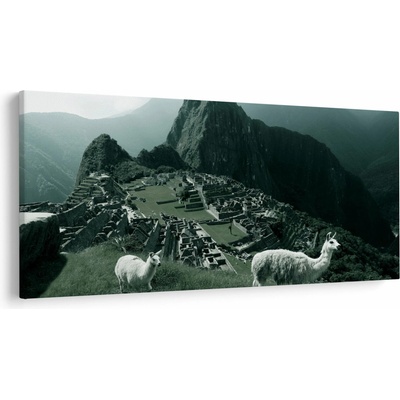 Obraz - Lamy na Machu Picchu v Peru, jednodielne 200x100 cm