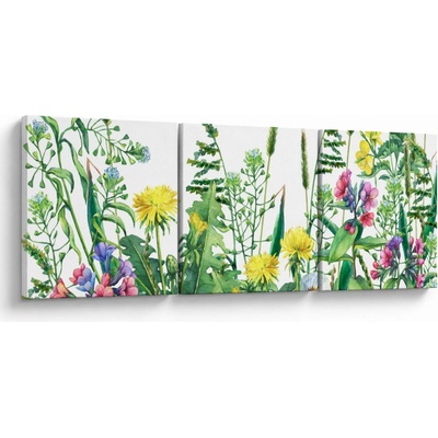 Obraz - Maľované lúčne kvety, trojdielne 90x30 cm