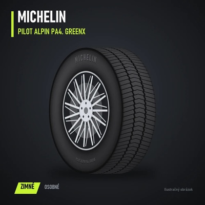 Michelin Pilot Alpin 4 305/30 R20 103W