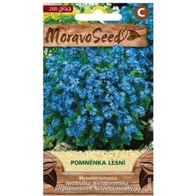 Semínka MoravoSeed Pomněnka lesní, modrá 20380 – Hledejceny.cz