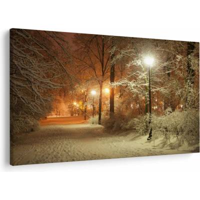 Obraz - Zasnežený park, jednodielne 120x80 cm