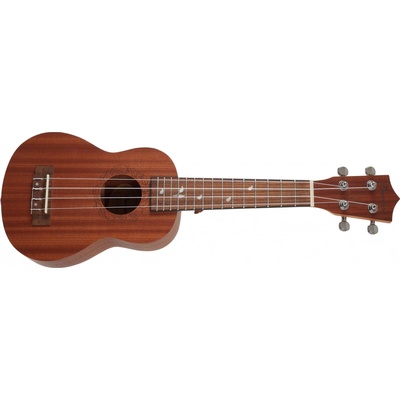 Bamboo Eco 21