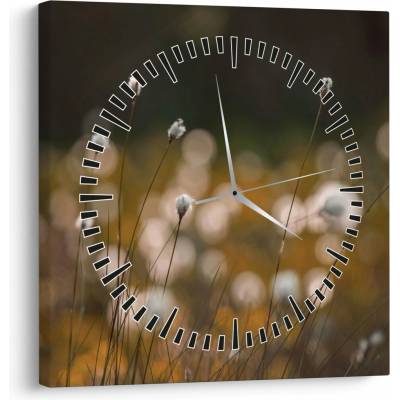 Obraz - Louka s cottongrass N⁰2 (s hodinami), jednodílný 30x30 cm s hodinami